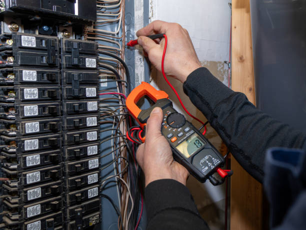 Best Electric Panel Repair  in Kyle, TX